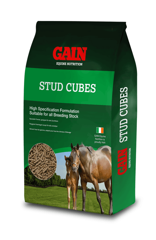 Gain Stud Cubes | Luxury Home Accessories | Heulog Glow