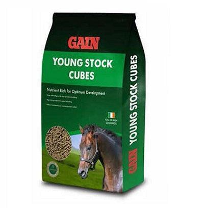 Gain Youngstock Cubes | Luxury Home Accessories | Heulog Glow