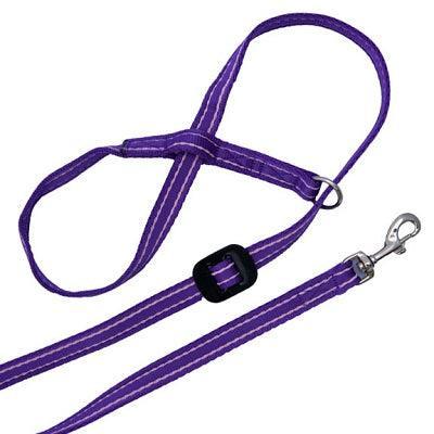 Gencon All In1 Clip to Collar LeftPurple | Luxury Home Accessories | Heulog Glow