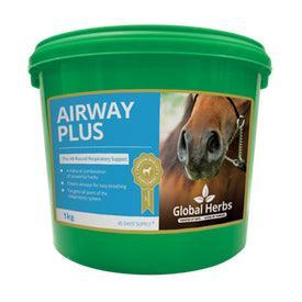Global H Airway Plus | Luxury Home Accessories | Heulog Glow
