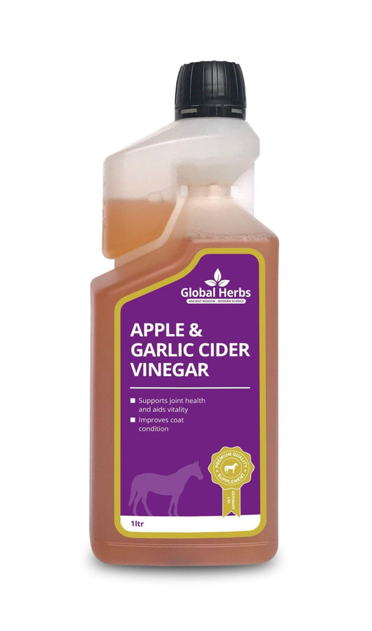Global H Apple & Garlic Cider Vinegar(H) | Luxury Home Accessories | Heulog Glow