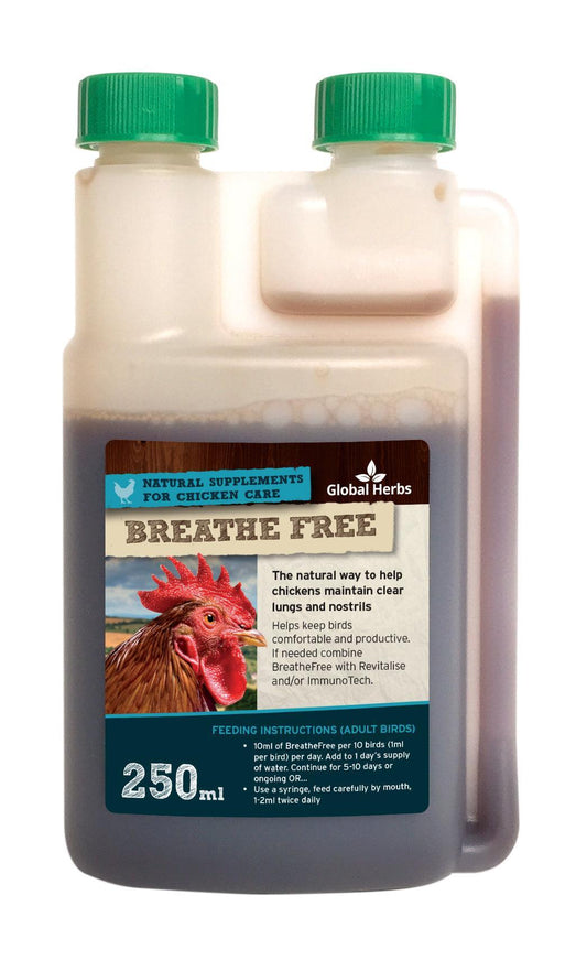 Global H Breathe Free (Chicken) | Luxury Home Accessories | Heulog Glow