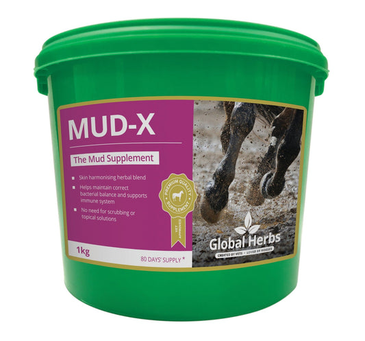 Global H Mud-X | Luxury Home Accessories | Heulog Glow