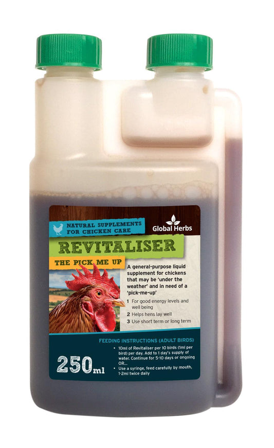 Global H Revitaliser (Chicken) | Luxury Home Accessories | Heulog Glow