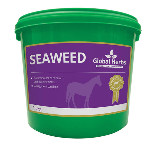 Global H Seaweed | Luxury Home Accessories | Heulog Glow