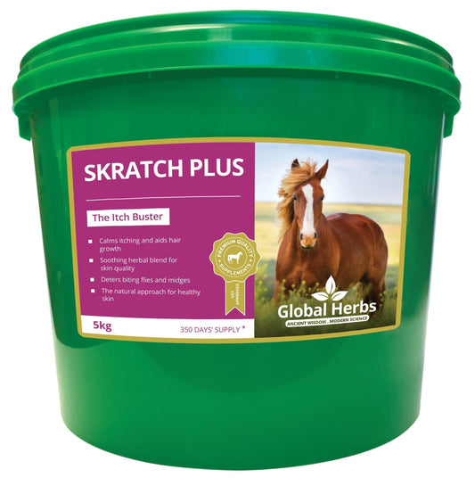 Global H Skratch Plus | Luxury Home Accessories | Heulog Glow