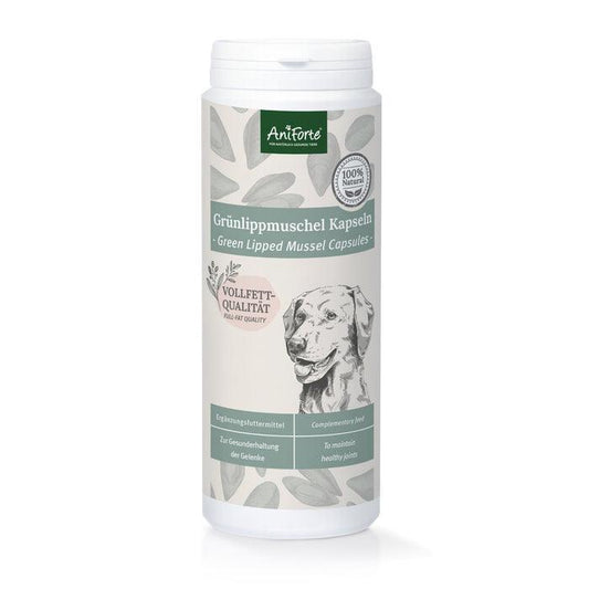 Green Lipped Mussel Capsules for Dogs - Joint Support Supplement 300 Capsules | Luxury Home Accessories | Heulog Glow