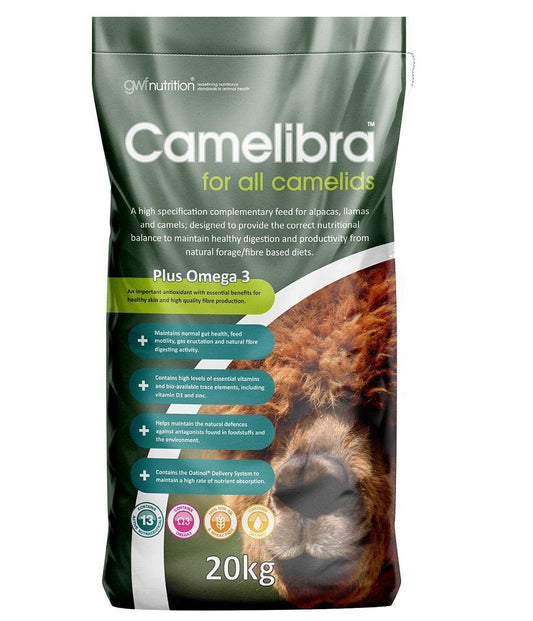 Growell Feeds Camelibra | Luxury Home Accessories | Heulog Glow