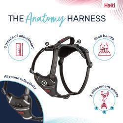 Halti Anatomy Harness Grey | Luxury Home Accessories | Heulog Glow