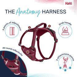 Halti Anatomy Harness Pink | Luxury Home Accessories | Heulog Glow