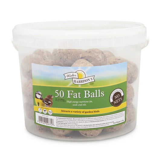 Harrisons Energy Boost Fat Balls 50 Tub (No Nets) 85g | Luxury Home Accessories | Heulog Glow