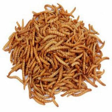 Harrisons Mealworms Bulk 12.55kg | Luxury Home Accessories | Heulog Glow