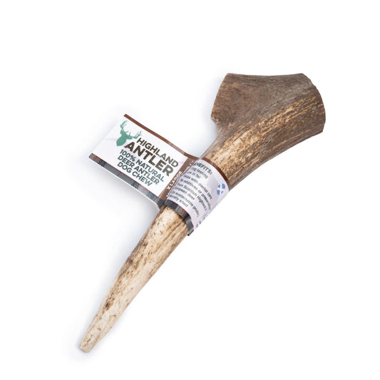 Highland Antler Jumbo Chew | Luxury Home Accessories | Heulog Glow