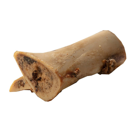 Hollings Maxi Roast Bone x 10 | Luxury Home Accessories | Heulog Glow