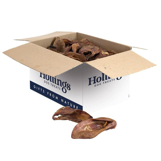 Hollings Pig Ears 50 | Luxury Home Accessories | Heulog Glow