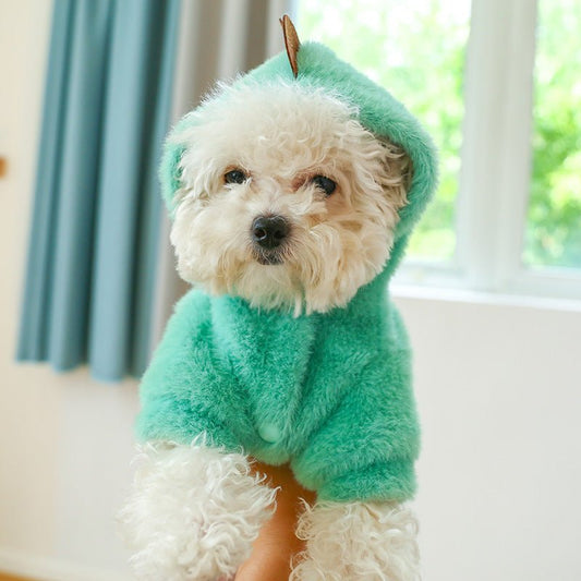 Home Fashion Simple Pet Warm Hoodie | Luxury Home Accessories | Heulog Glow