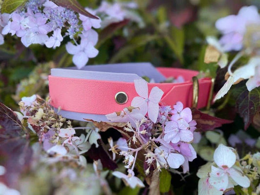Hound Collar - Handmade Hound Biothane Dog Collar. | Luxury Home Accessories | Heulog Glow