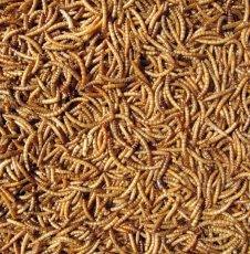 Hutton Mill Mealworms | Luxury Home Accessories | Heulog Glow