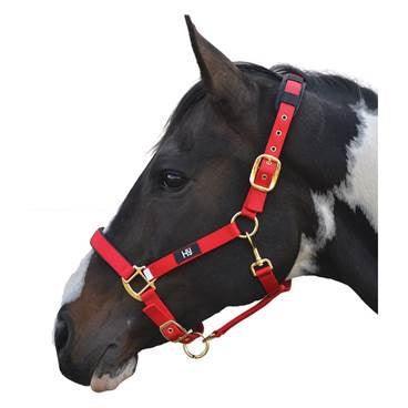 Hy Deluxe Padded Head Collar Red | Luxury Home Accessories | Heulog Glow