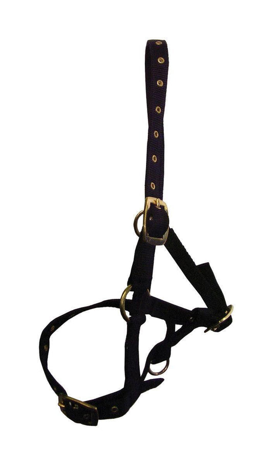 Hy Foal Head Collar Navy | Luxury Home Accessories | Heulog Glow