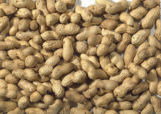 JJ Monkey Nuts in Shells 650g | Luxury Home Accessories | Heulog Glow