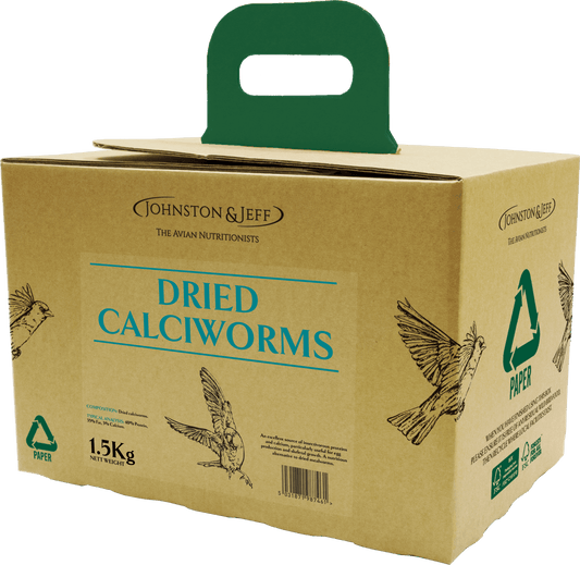 Johnston & Jeff Dried Calciworms in EcoBox | Luxury Home Accessories | Heulog Glow