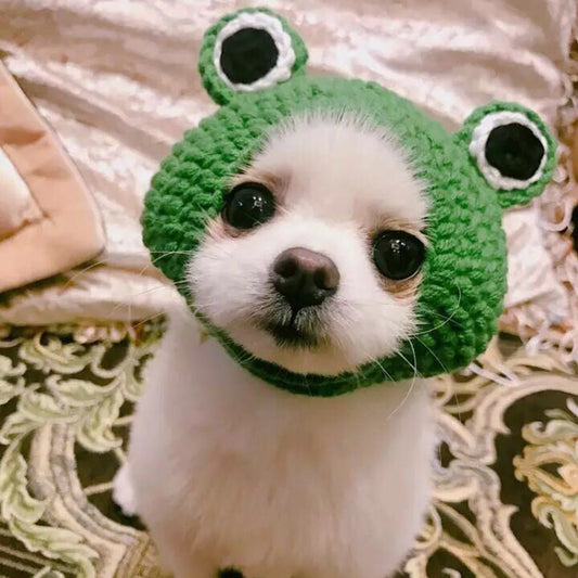 Knitted Wool Pet Hat Photo Frog Headdress | Luxury Home Accessories | Heulog Glow