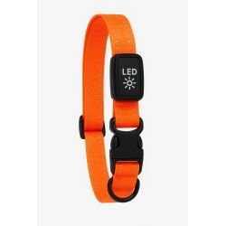 Kowloon PVC Flashing Collar Orange, Medium/Large | Luxury Home Accessories | Heulog Glow