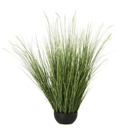Large Onion Grass Plant In Pot | Luxury Home Accessories | Heulog Glow