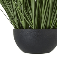 Large Onion Grass Plant In Pot | Luxury Home Accessories | Heulog Glow