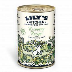 Lily's Kitchen Dog Recovery Recipe, 400g | Luxury Home Accessories | Heulog Glow