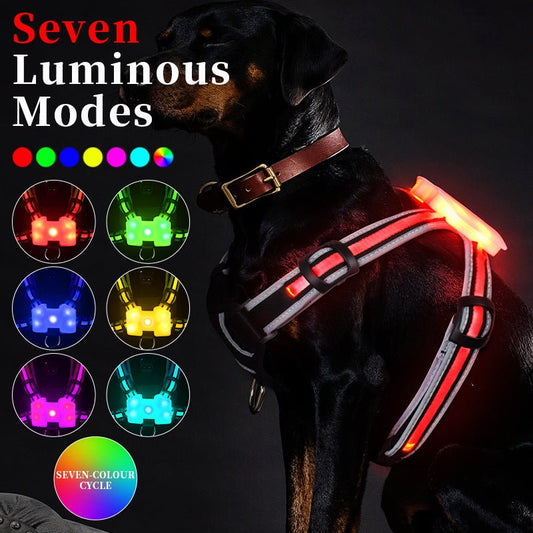 Luminous Strap Charging For Common Dogs Nylon Luminous Explosion-proof Hand Holding Rope | Luxury Home Accessories | Heulog Glow