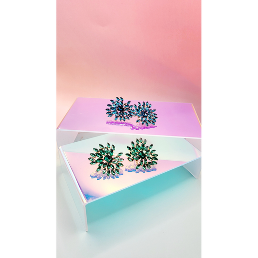 Flower Burst Earrings ER5688