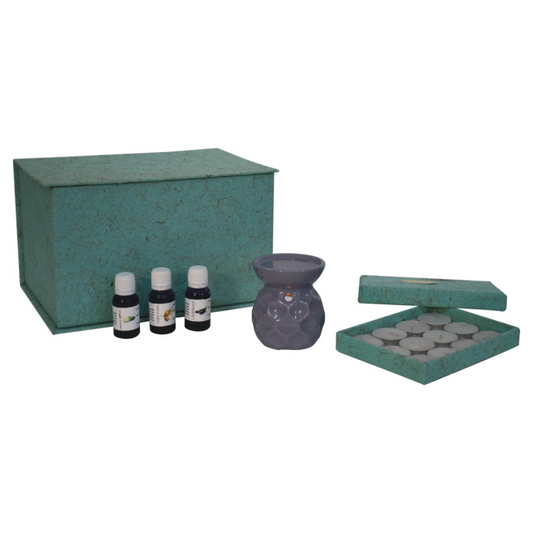 Artisan Furniture Taya Lilac Oil Burner Set