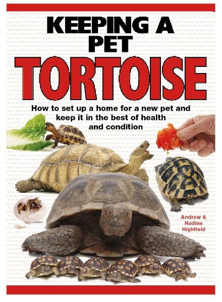 Manuals/encyclopedias Keeping A Pet Tortoise | Luxury Home Accessories | Heulog Glow