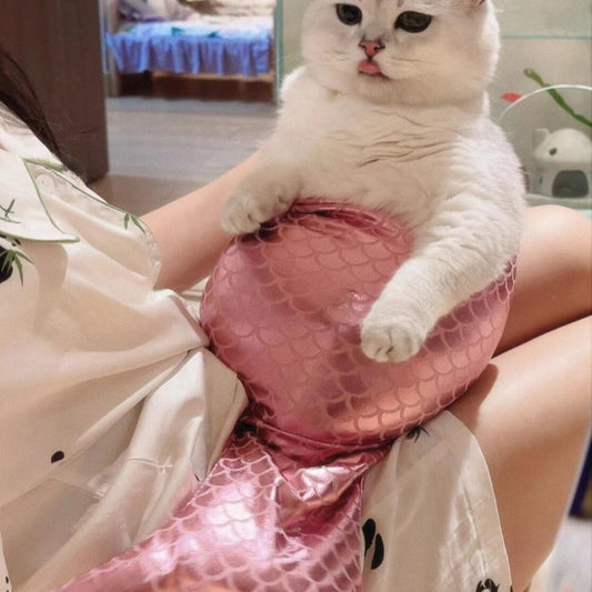 Mermaid Tail Cat Fishtail Decoration | Luxury Home Accessories | Heulog Glow
