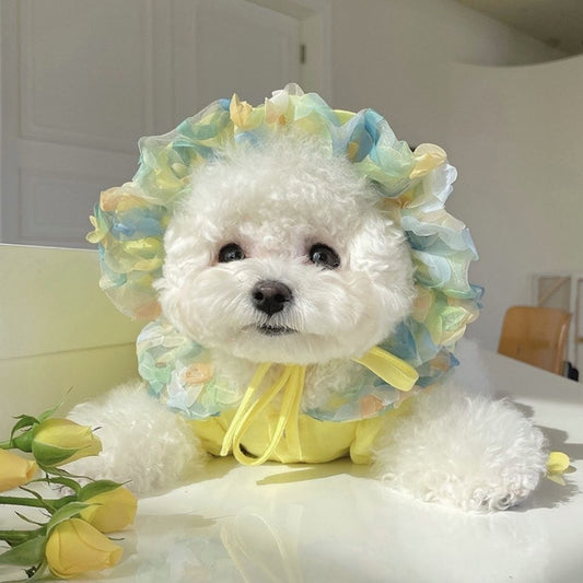 Mesh Bichon Teddy Dog Skirt | Luxury Home Accessories | Heulog Glow