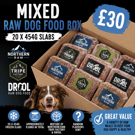 Mixed Raw Dog Food Box – 20 x 454g Slabs | Luxury Home Accessories | Heulog Glow