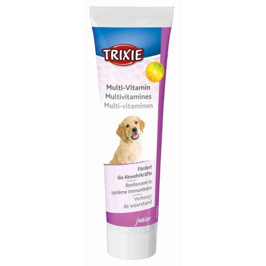 Multivitamin for puppies, paste, D/FR/NL | Luxury Home Accessories | Heulog Glow