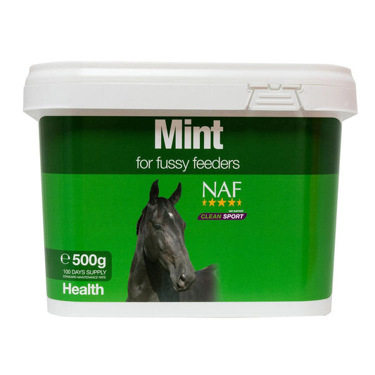 NAF Mint | Luxury Home Accessories | Heulog Glow