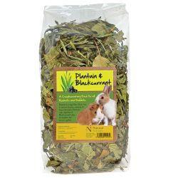 Natural Nibbles Forage Plantain & Blackcurrant | Luxury Home Accessories | Heulog Glow