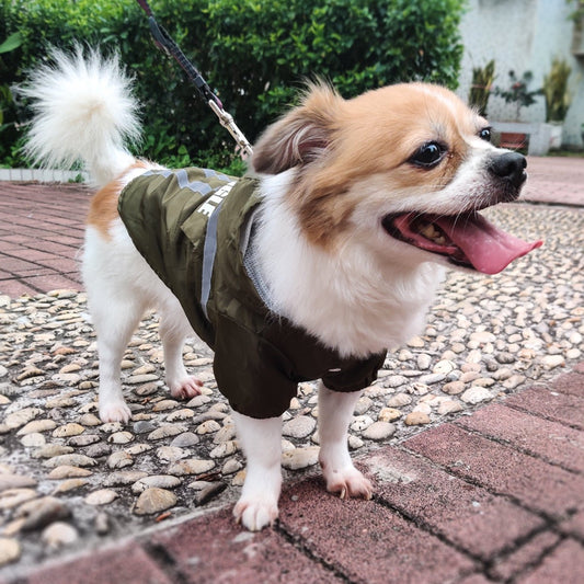 New Style Pet Raincoat With Reflective Strips | Luxury Home Accessories | Heulog Glow