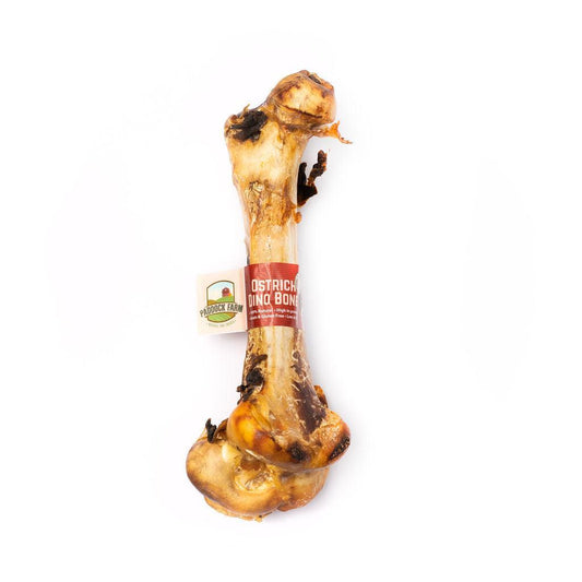 Ostrich Dino Bone | Luxury Home Accessories | Heulog Glow