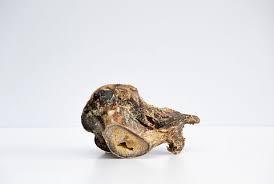 Ostrich Knuckle Small | Luxury Home Accessories | Heulog Glow