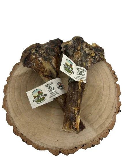 Ostrich Large Tibia Bone | Luxury Home Accessories | Heulog Glow