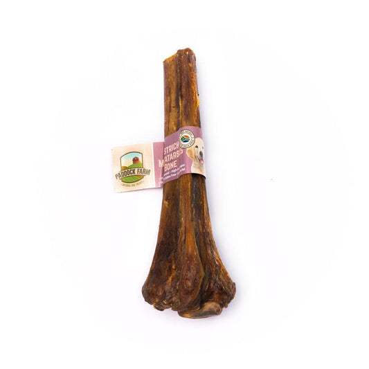 Ostrich Metatarsus Bone | Luxury Home Accessories | Heulog Glow