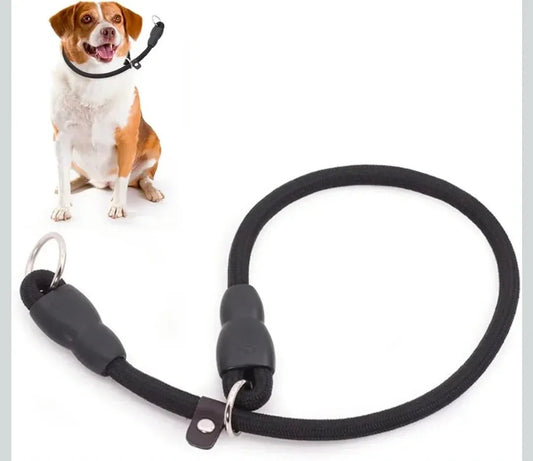 P-Collar No Pull Dog Training Slip - Round Nylon Rope for Small Medium Dogs | Luxury Home Accessories | Heulog Glow