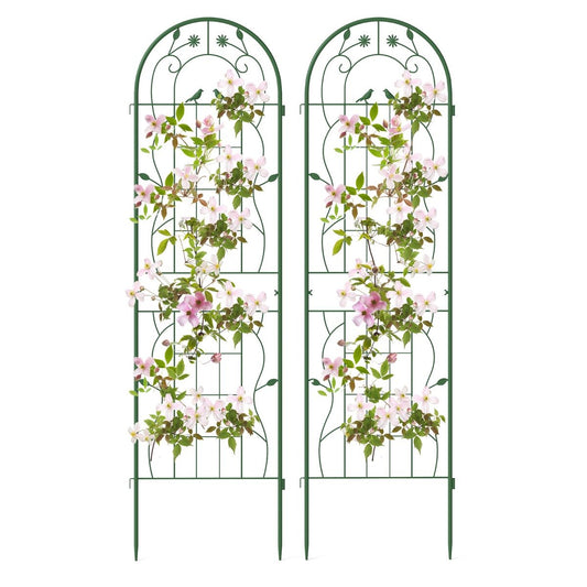 2/4 Pack Metal Garden Trellis for Climbing Plants-Set of 2
