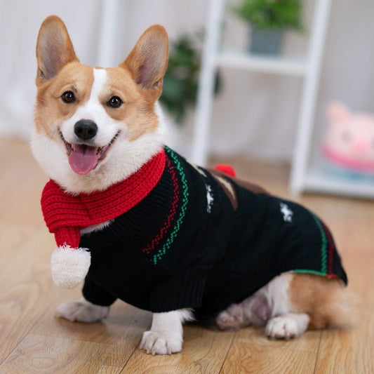 Padded Coat Pet Padded Winter Shiba | Luxury Home Accessories | Heulog Glow