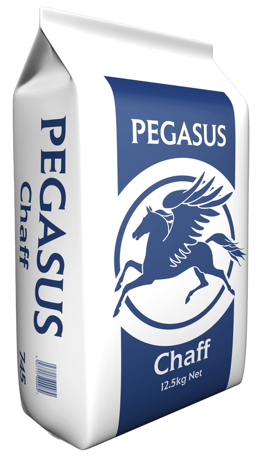 Pegasus Chaff | Luxury Home Accessories | Heulog Glow